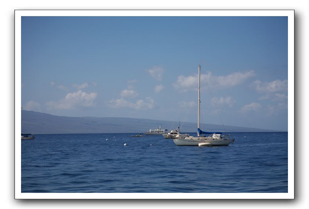 Maui-Reefdancer-274