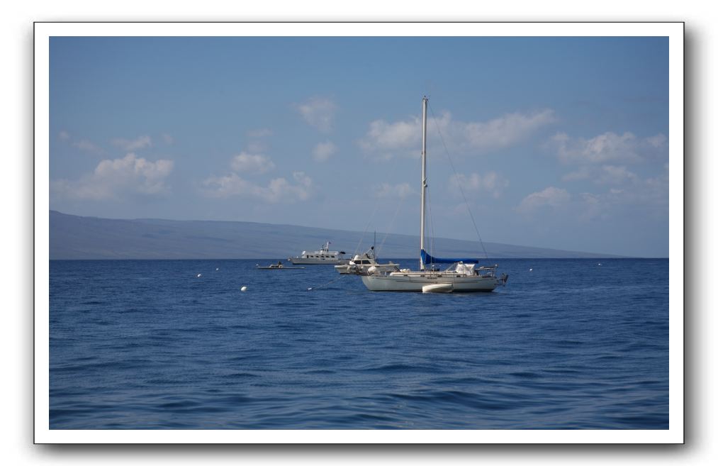 Maui-Reefdancer-275