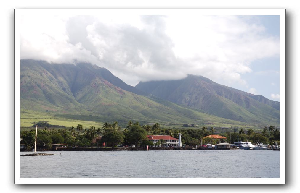 Maui-Reefdancer-276