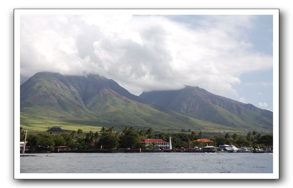 Maui-Reefdancer-277