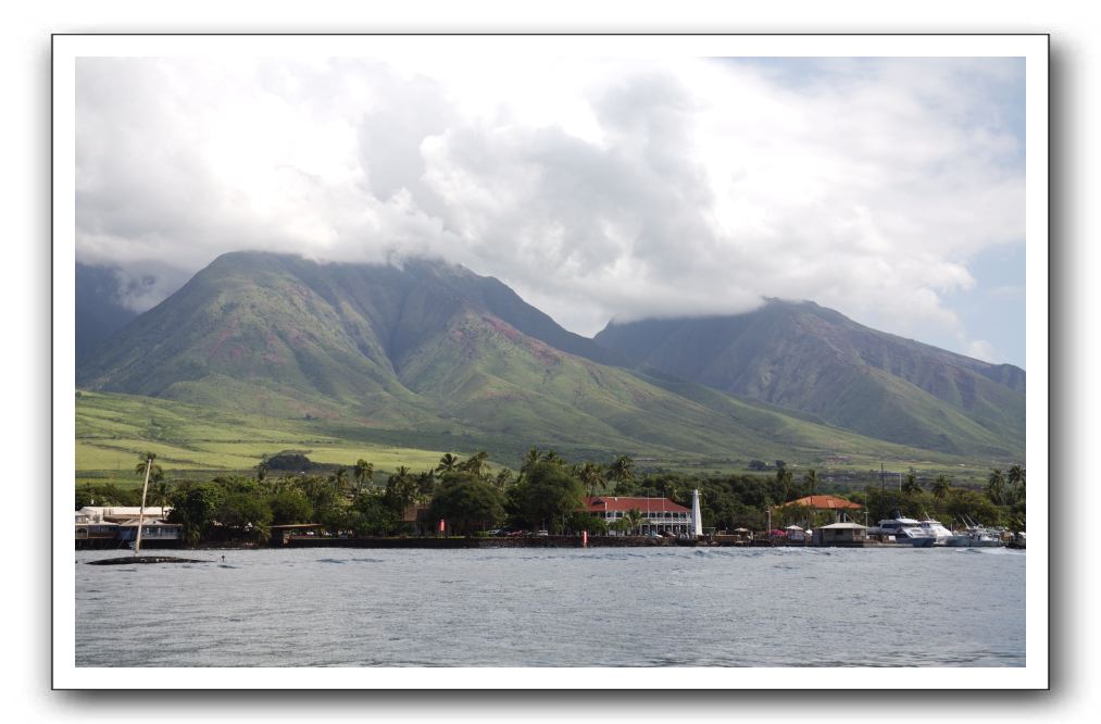 Maui-Reefdancer-279