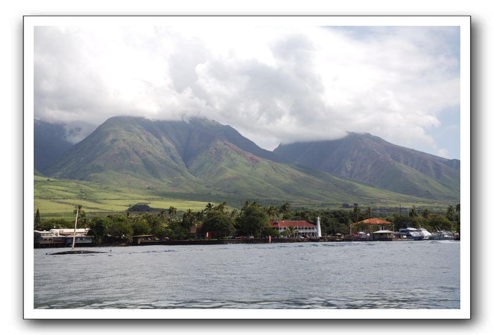 Maui-Reefdancer-280