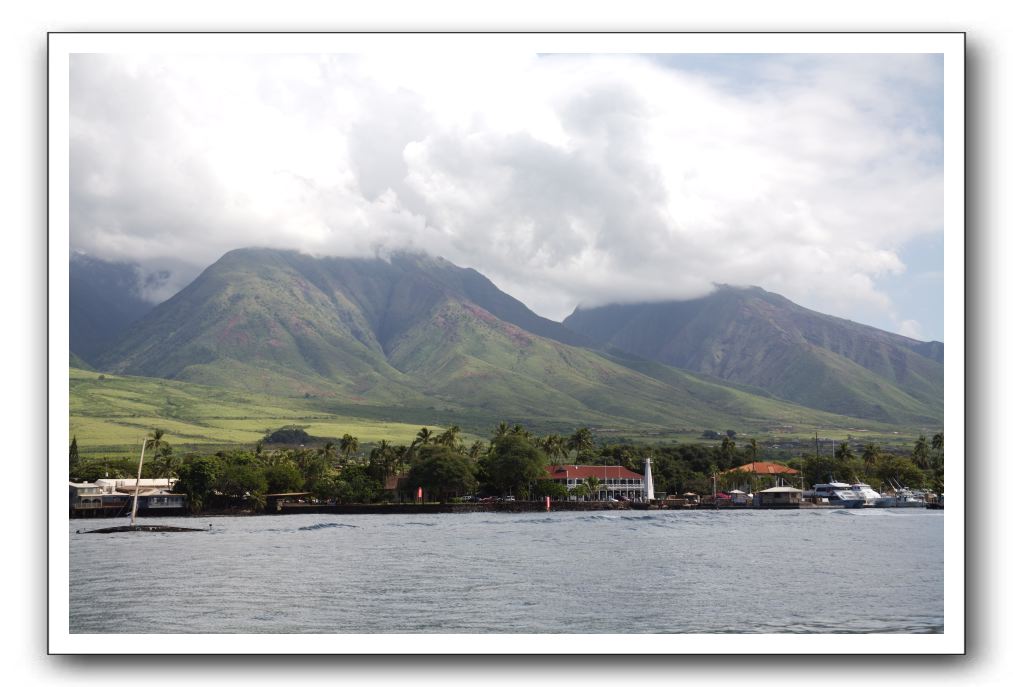 Maui-Reefdancer-281