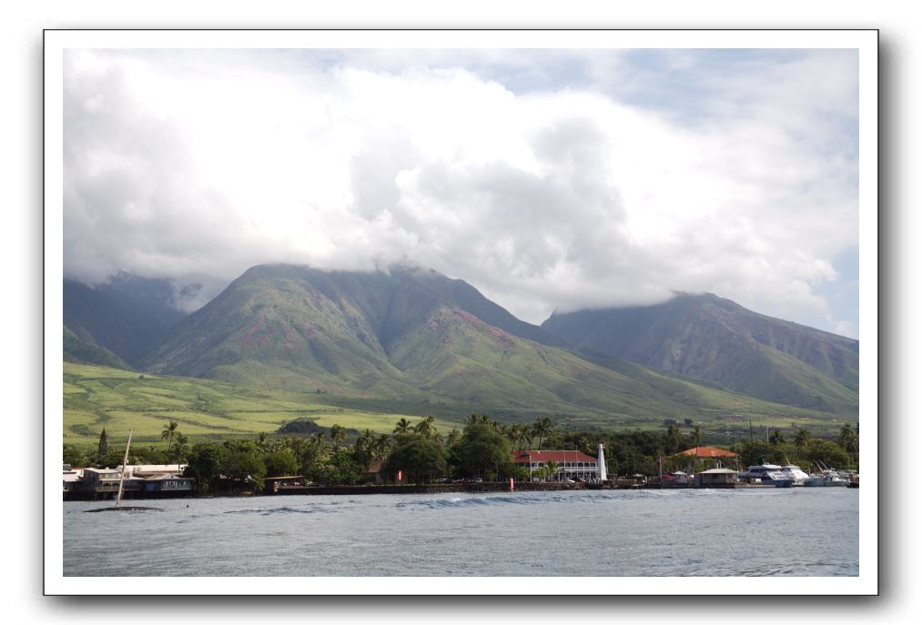 Maui-Reefdancer-282