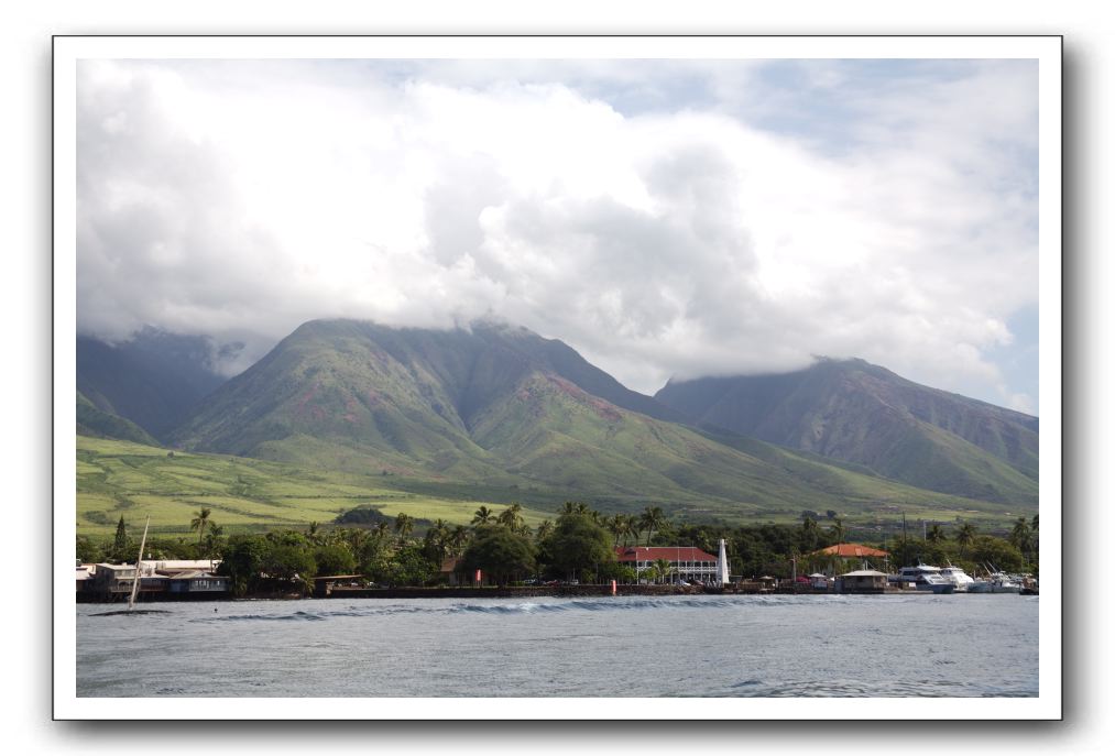 Maui-Reefdancer-284