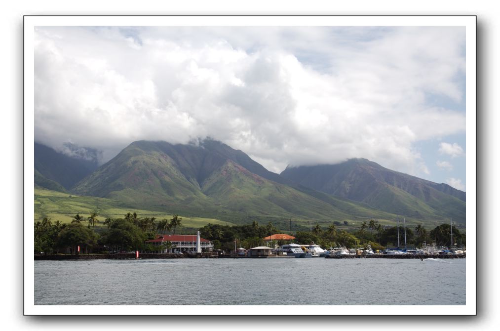 Maui-Reefdancer-286