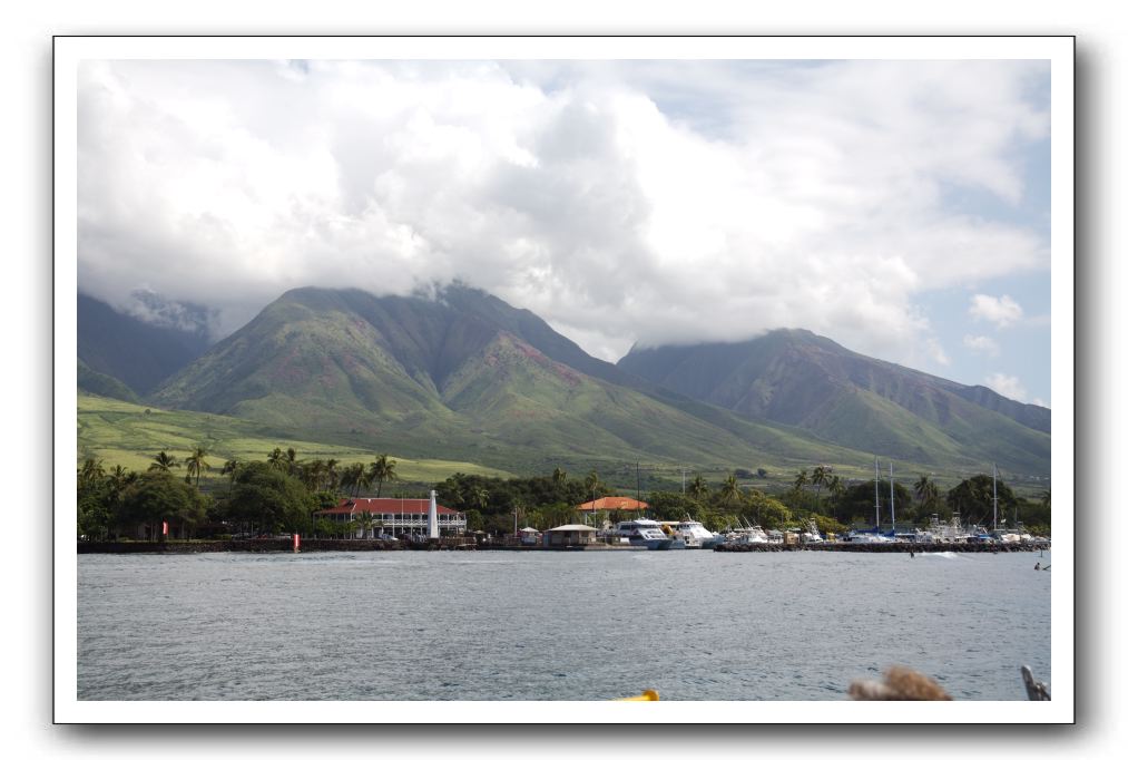 Maui-Reefdancer-287
