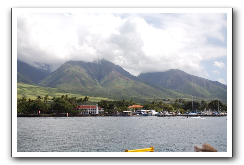 Maui-Reefdancer-288