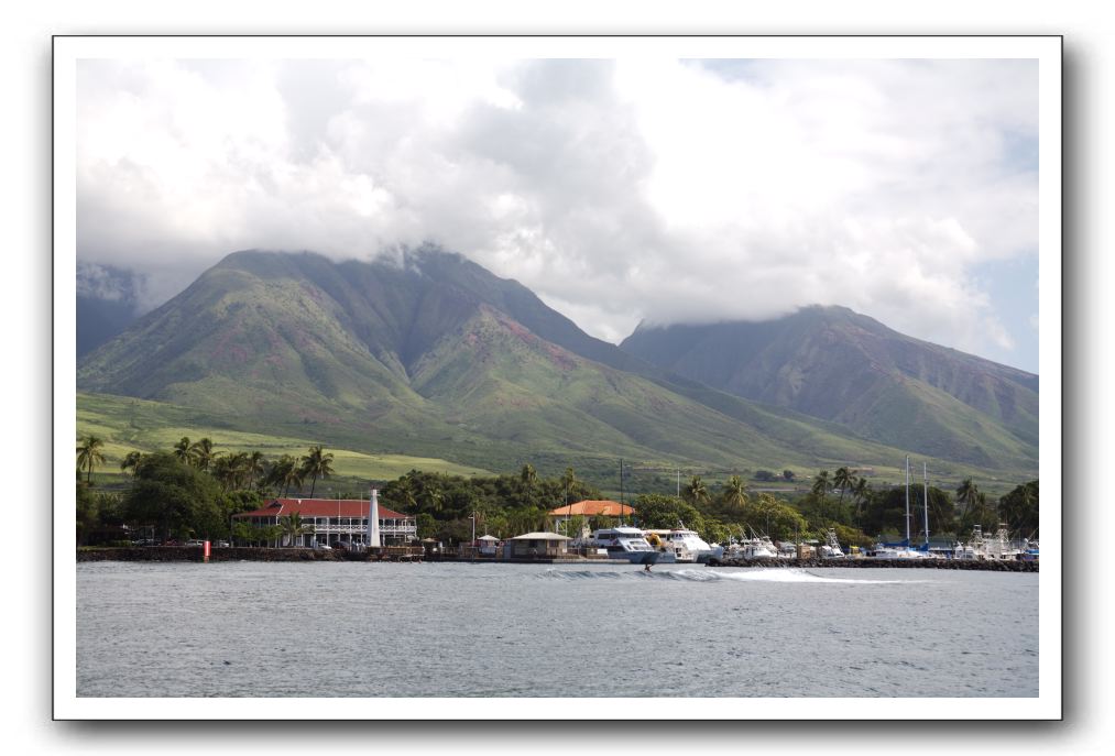 Maui-Reefdancer-289