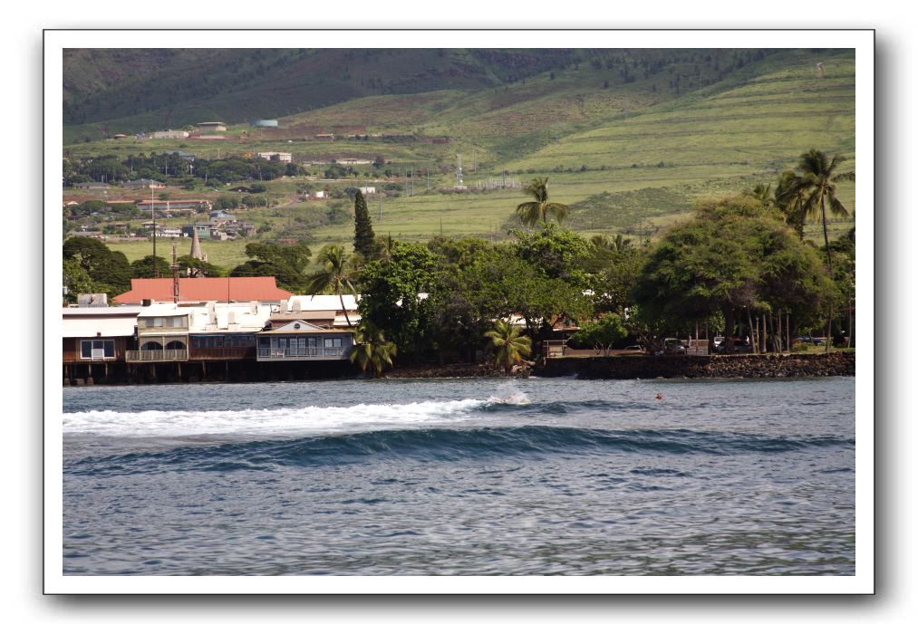 Maui-Reefdancer-293