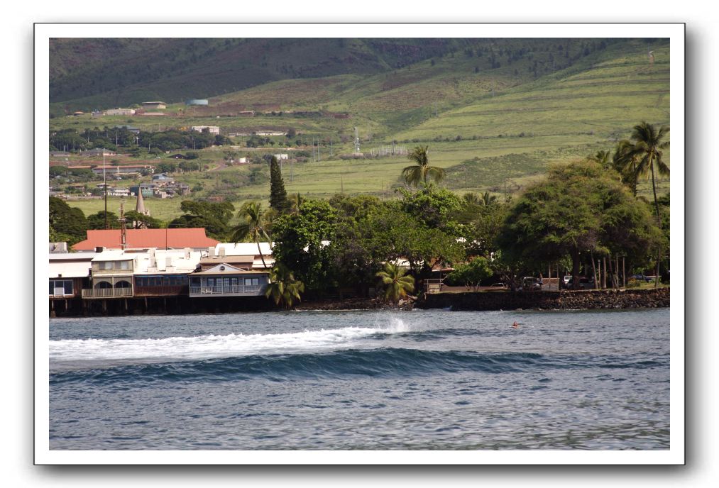 Maui-Reefdancer-294