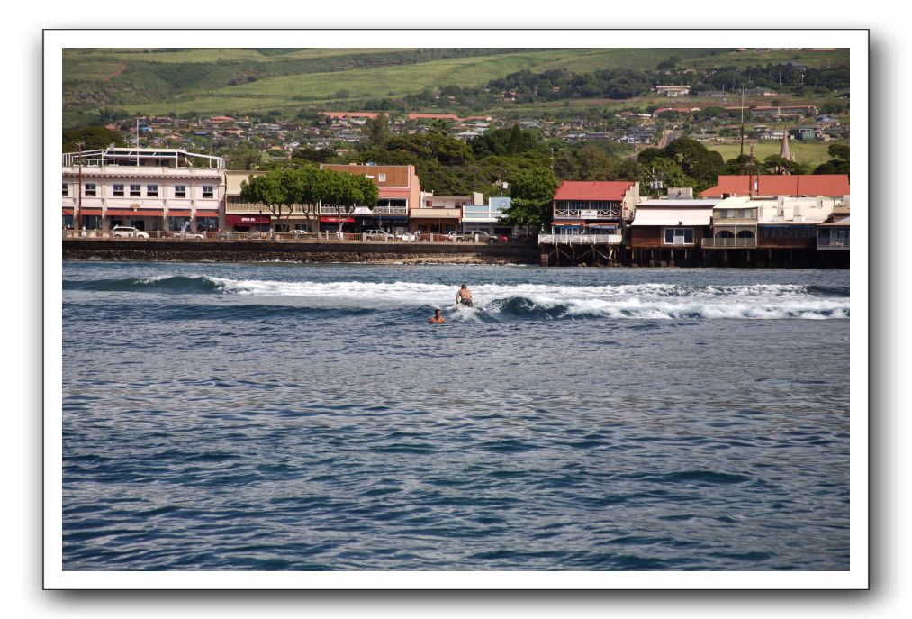 Maui-Reefdancer-295
