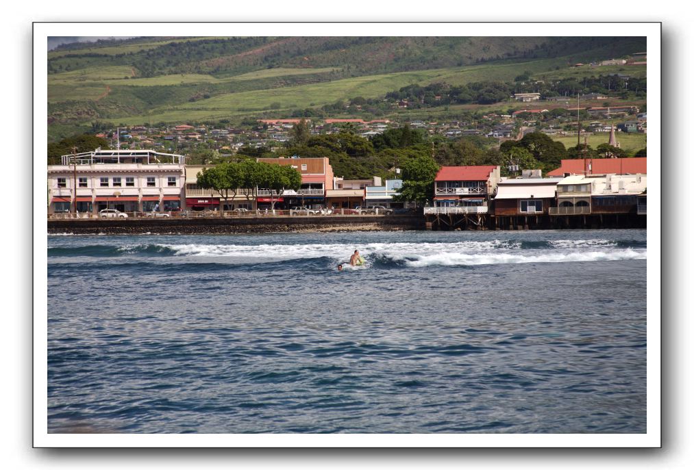 Maui-Reefdancer-297