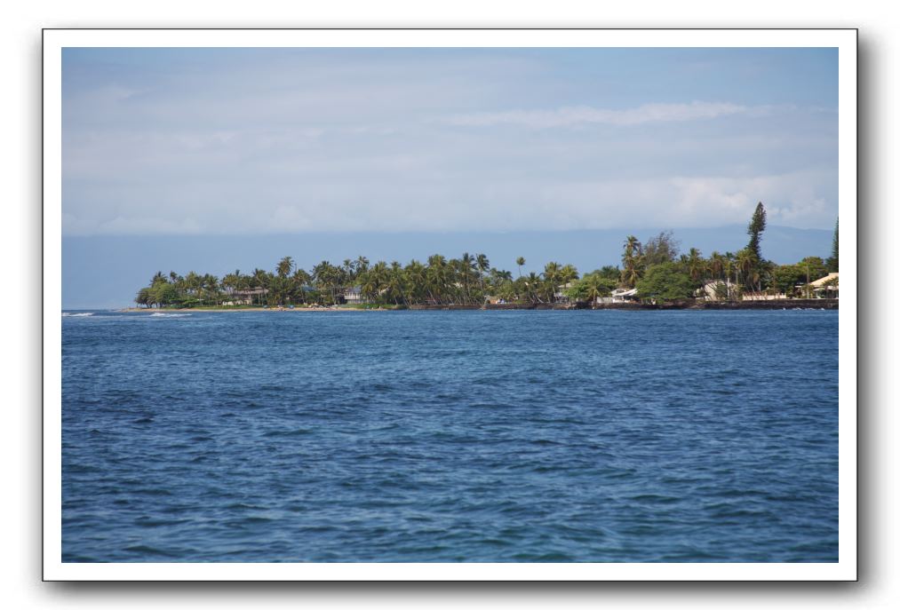 Maui-Reefdancer-304