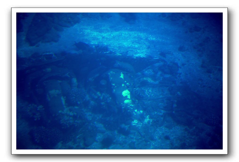 Maui-Reefdancer-074