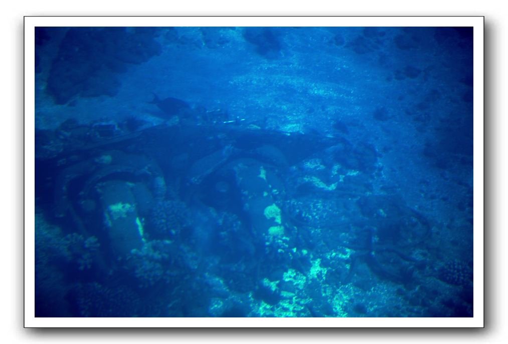 Maui-Reefdancer-075