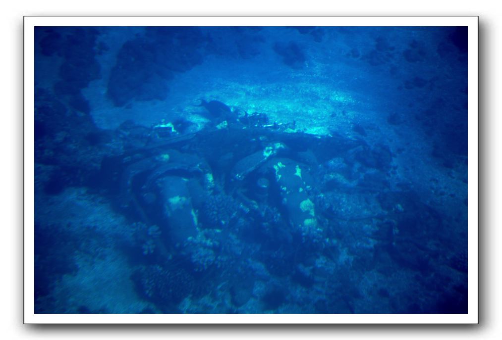 Maui-Reefdancer-076