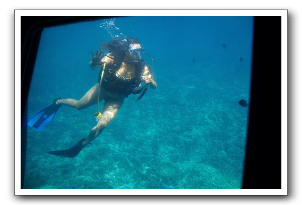 Maui-Reefdancer-088