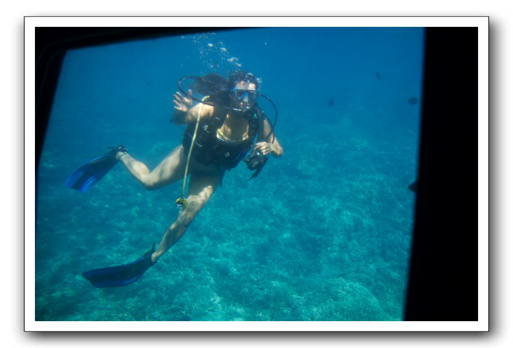 Maui-Reefdancer-089