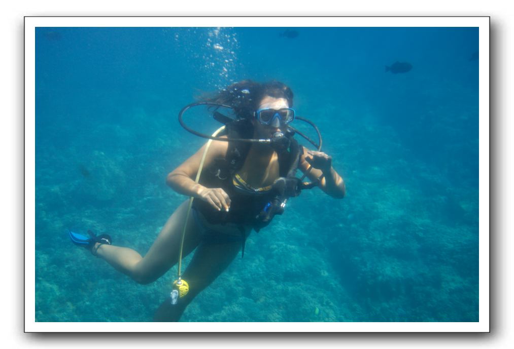 Maui-Reefdancer-091