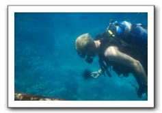 Maui-Reefdancer-117