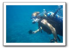 Maui-Reefdancer-119