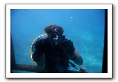 Maui-Reefdancer-122