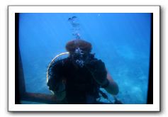 Maui-Reefdancer-123