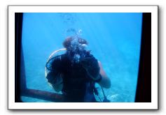 Maui-Reefdancer-125