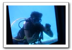 Maui-Reefdancer-128