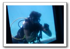 Maui-Reefdancer-129