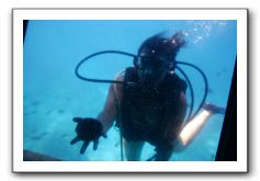Maui-Reefdancer-148