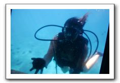 Maui-Reefdancer-149