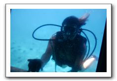 Maui-Reefdancer-150