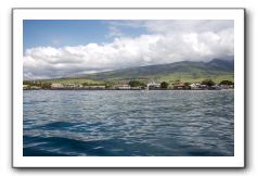 Maui-Reefdancer-268