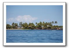 Maui-Reefdancer-269