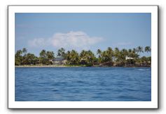 Maui-Reefdancer-270