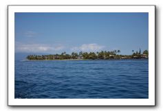 Maui-Reefdancer-272