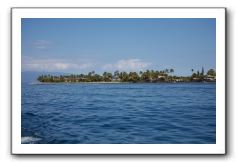 Maui-Reefdancer-273