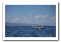 Maui-Reefdancer-274