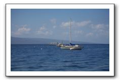 Maui-Reefdancer-275