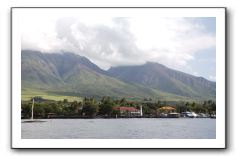 Maui-Reefdancer-276