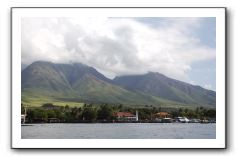 Maui-Reefdancer-277