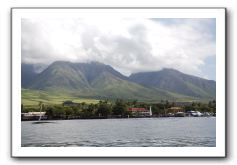 Maui-Reefdancer-278