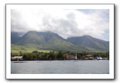 Maui-Reefdancer-281