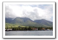 Maui-Reefdancer-284