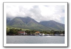Maui-Reefdancer-289