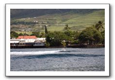 Maui-Reefdancer-293