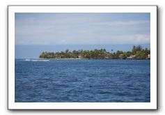 Maui-Reefdancer-301