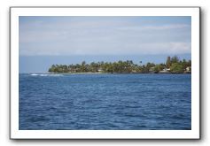 Maui-Reefdancer-302